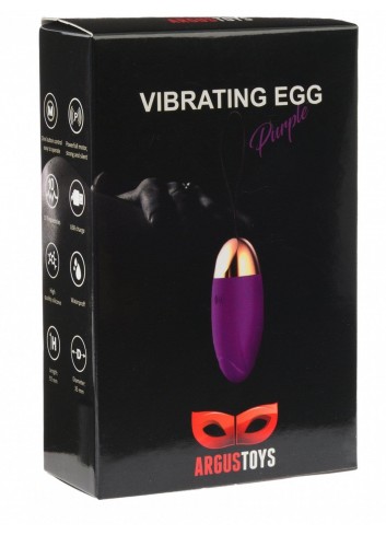Vibrating egg Purple
